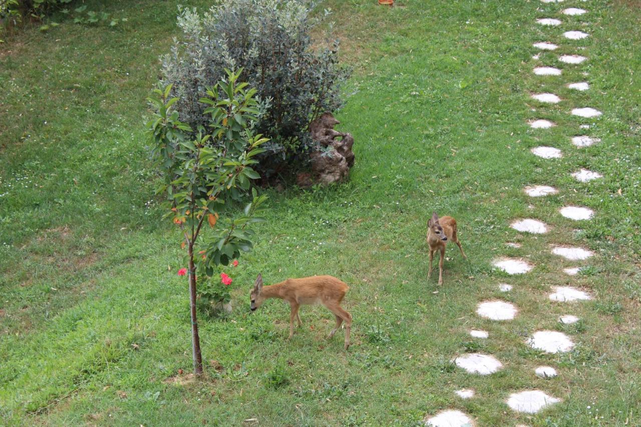 Bed and Breakfast Segni E Impronta Finale Ligure Exteriér fotografie