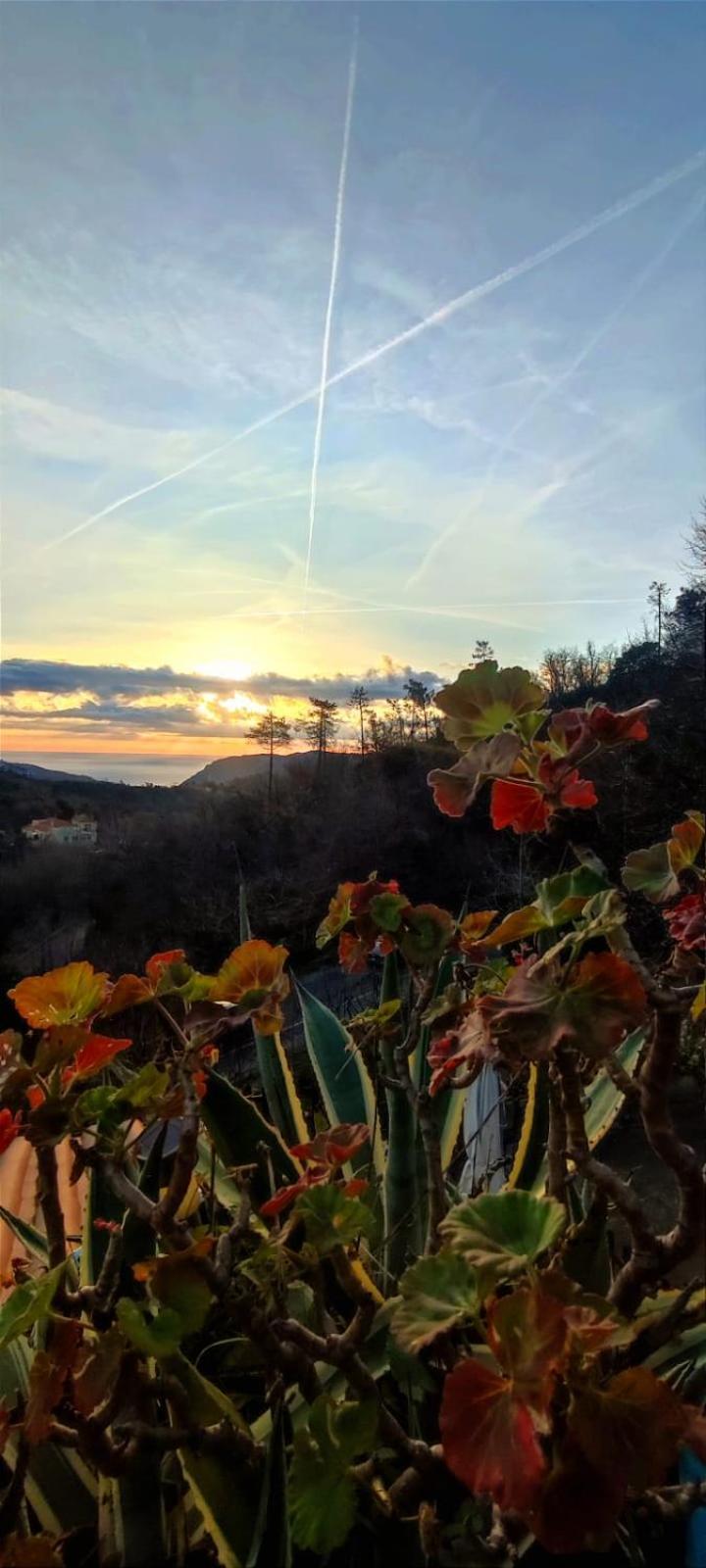 Bed and Breakfast Segni E Impronta Finale Ligure Exteriér fotografie